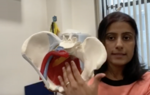 Are kegels always good if you’re leaking ? - FuncPhysio Physical Therapy